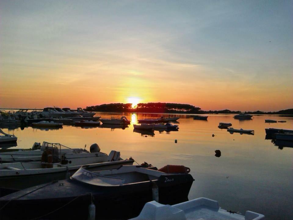 Villa "Franca" Porto Cesareo Eksteriør billede
